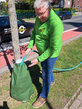 Wässern der 3.  Linde