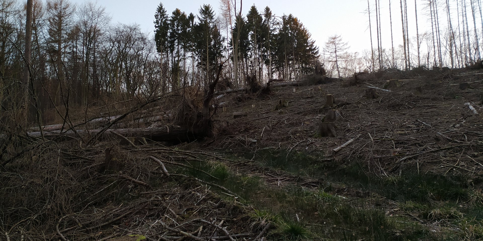ein Bild von den kahlen Stellen im Wiehengebirge