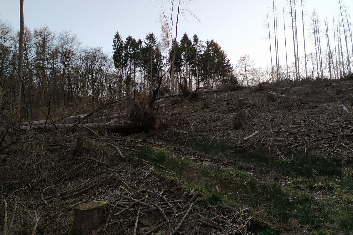 ein Bild von den kahlen Stellen im Wiehengebirge