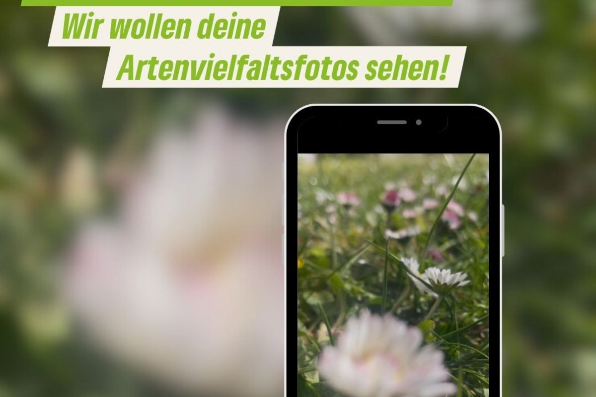 ein Handy mit dem Bild einer Blumenwiese im Display. Dazu der Text "Fotowettbewerb Wir wollen deine Artenvielfaltfotos sehen. Einsendeschluss 11.05.