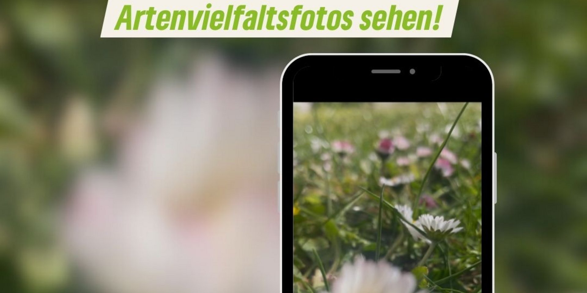 ein Handy mit dem Bild einer Blumenwiese im Display. Dazu der Text "Fotowettbewerb Wir wollen deine Artenvielfaltfotos sehen. Einsendeschluss 11.05.