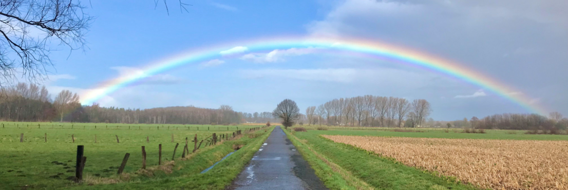 ein Feldweg mit Bäumen im Hintergrund und einem großen Regenbogen