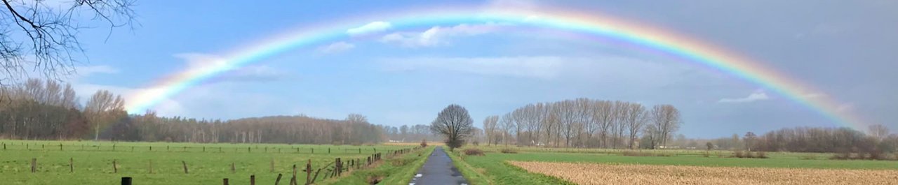 ein Feldweg mit Bäumen im Hintergrund und einem großen Regenbogen