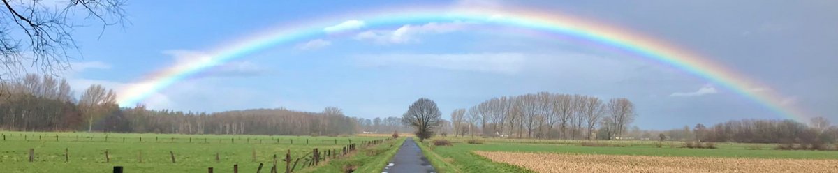 ein Feldweg mit Bäumen im Hintergrund und einem großen Regenbogen