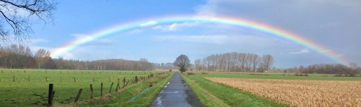 ein Feldweg mit Bäumen im Hintergrund und einem großen Regenbogen