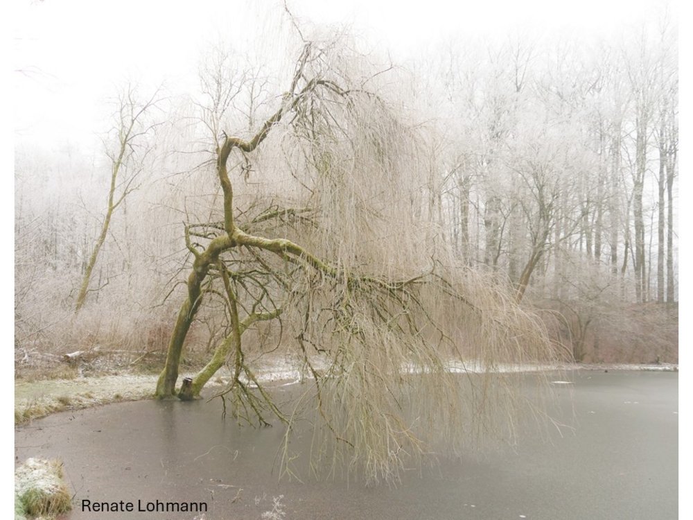 Im Park von Randringhausen